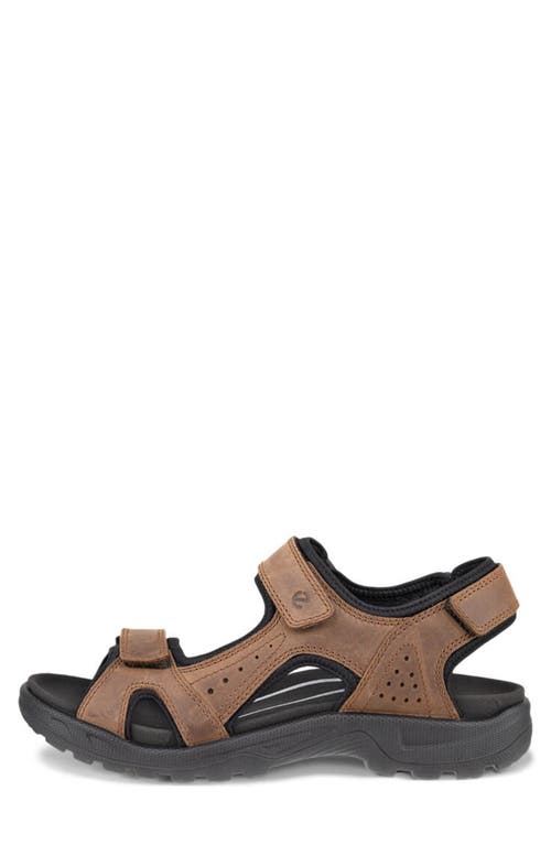 Shop Ecco Onroads Sandal In Cocoa Brown/black