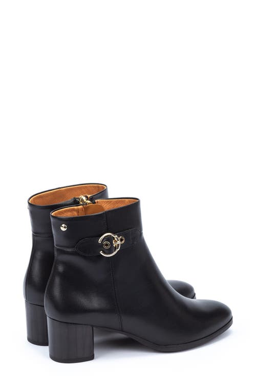 Pikolinos Calafat Buckle Bootie In Black Ii