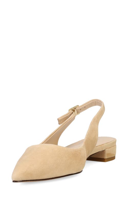 Pelle Moda Aali Pointed Toe Slingback Flat In Latte
