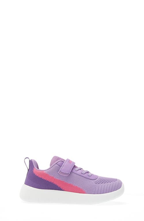 Dream Pairs Knit Low Top Sneaker In Purple/fuchsia