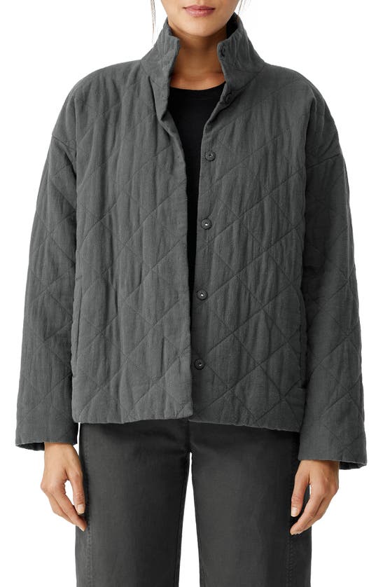 Eileen fisher 2025 graphite jacket