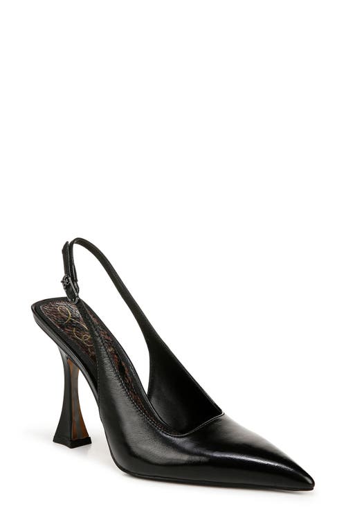 Shop Sam Edelman Odette Slingback Pointed Toe Pump In Black