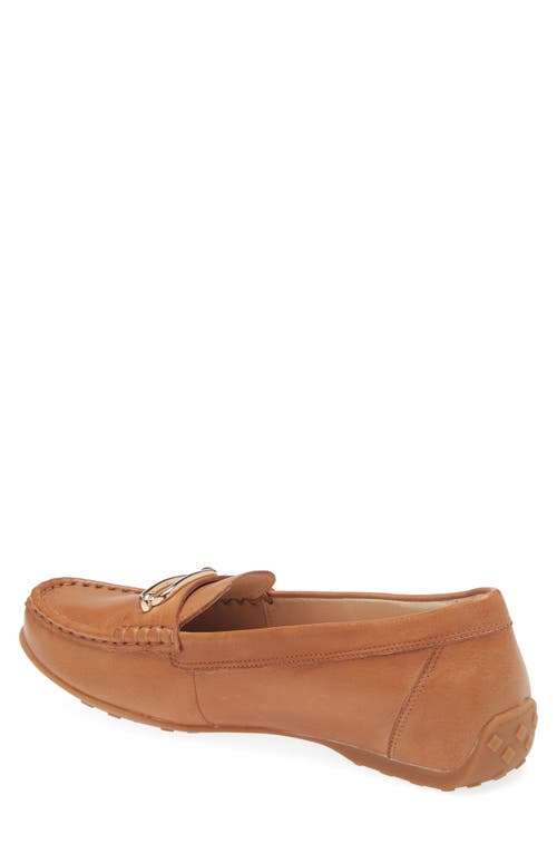 Frankie4 Foxx Loafer In Tan Tumbled