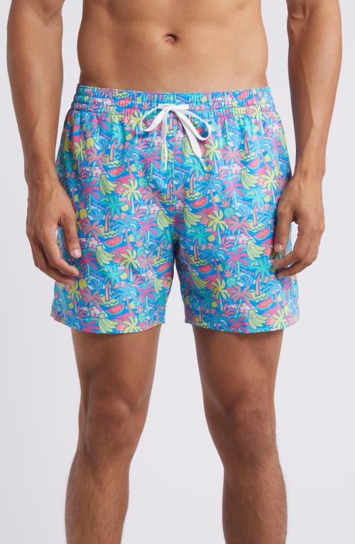 Shop Chubbies Classic Lined 5.5-inch Swim Trunks In Bright Blue Tropical