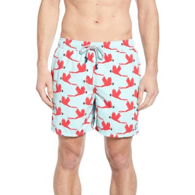 Tom & Teddy Parrot Print Swim Trunks, Blue