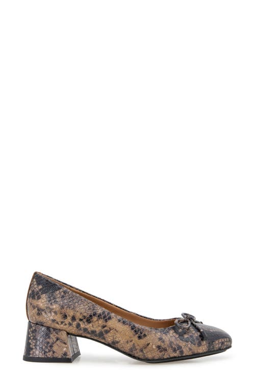 Gentle Souls By Kenneth Cole Lancine Pump In Brown Snake Leather