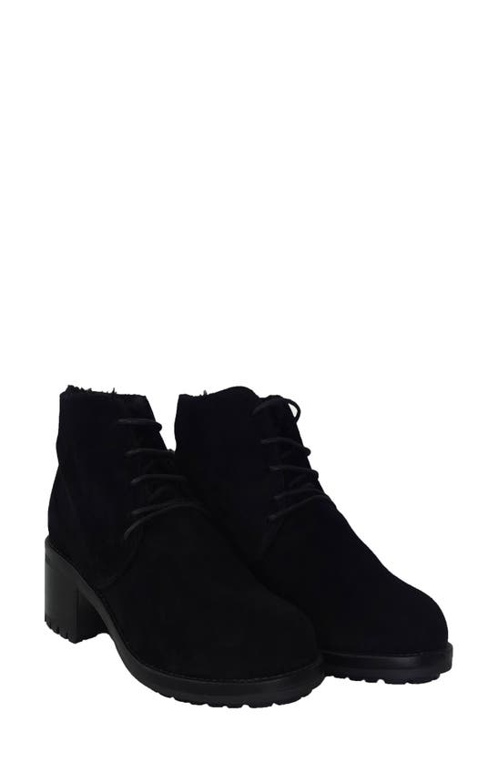 Andrea Carrano Pellicca Genuine Shearling Lined Bootie In Black Suede