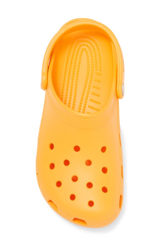 Shop Crocs Classic Clog In Orange Zing