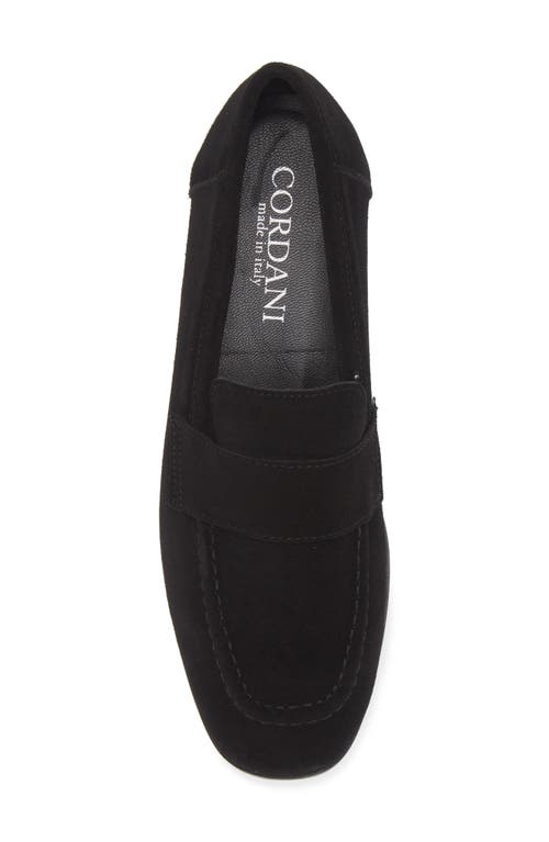 Cordani Ardelle Moc Toe Loafer In Black Suede