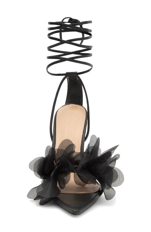 Wild Diva Lounge Carmina Pointed Toe Sandal In Black