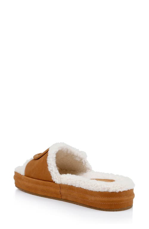 Shop Dee Ocleppo Lima Genuine Shearling Platform Sandal In Biscotti