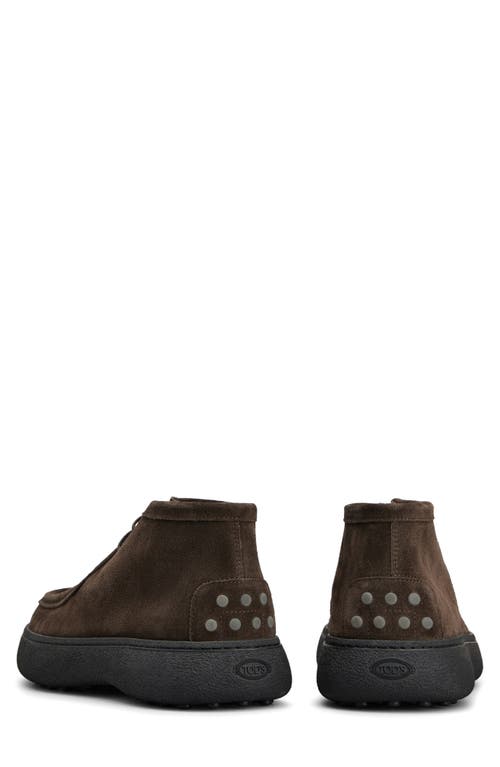 Shop Tod's Burlotto Chukka Boot In Testa Moro