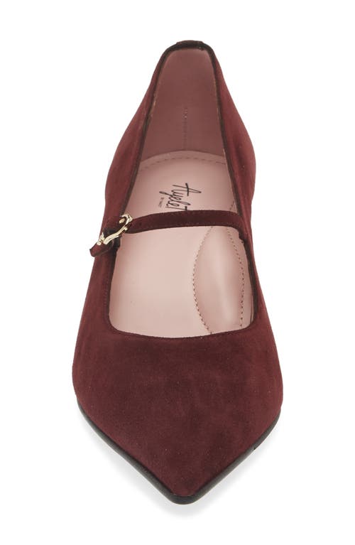 Shop Naot Rosalie Pointed Toe Pump In Burgundy Suede