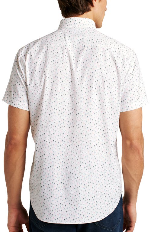 Shop Bonobos Flamingo Print Short Sleeve Performance Button-up Shirt In Phil Flamingo C33