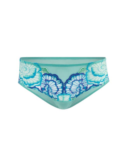 Shop Adore Me Colete Hipster Panties In Floral Blue