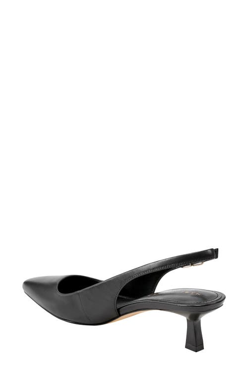 Shop Marc Fisher Ltd Kory Pointed Toe Kitten Heel Pump In Black