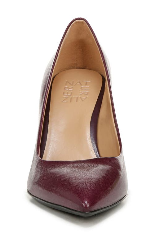 Shop Naturalizer Anna Pointed Toe Pump In Deep Plum Purple Leather