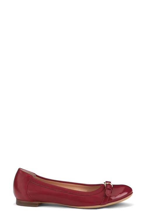 Shop Agl Attilio Giusti Leombruni Agl Monika Cap Toe Ballet Flat In Tomatoe