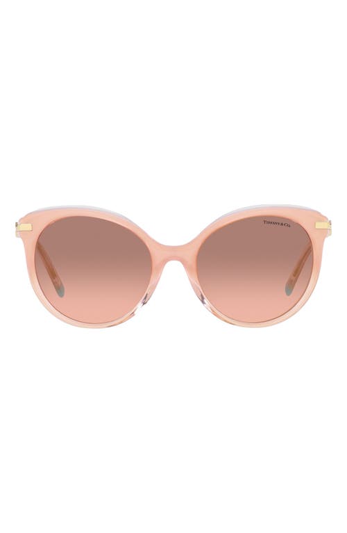 Tiffany & Co. 55mm Gradient Cat Eye Sunglasses in Milky Pink/Pink Dark Brown