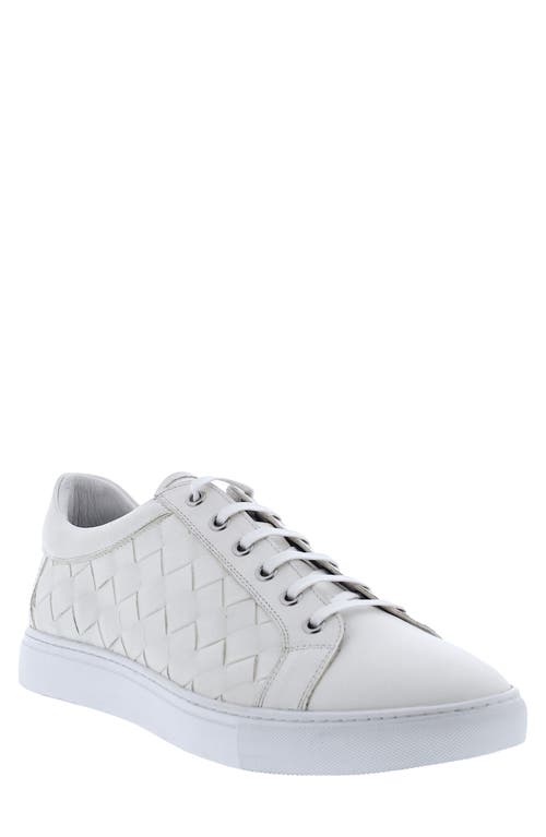 Robert Graham Appaloosa Sneaker in White at Nordstrom, Size 8