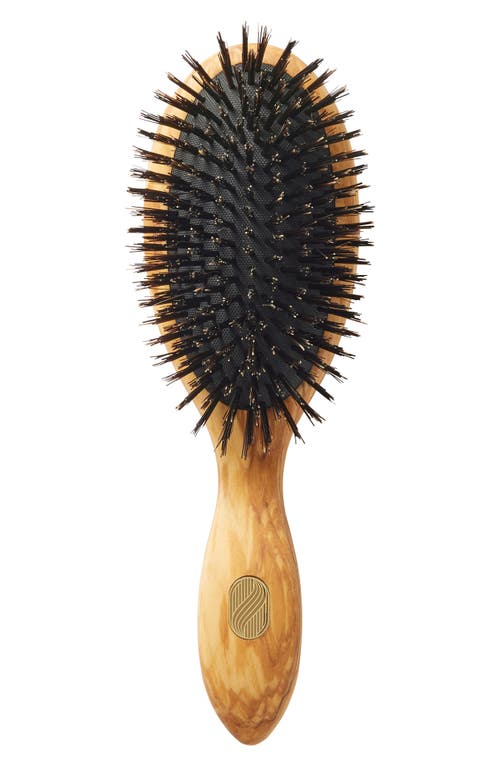 Beaute Classic Repair & Shine Brush for Thick or Curly Hair