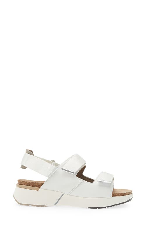 Naot Odyssey Slingback Sandal In White/grey