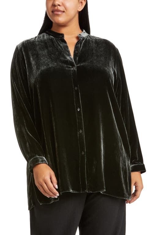 Eileen Fisher Band Collar Velvet Longline Button-Up Shirt in Ivy at Nordstrom, Size 3X