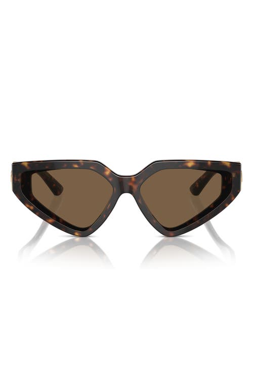 Shop Dolce & Gabbana Dolce&gabbana 59mm Butterfly Sunglasses In Havana