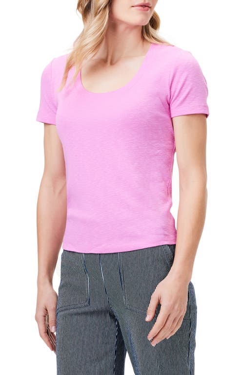 Scoop Neck Cotton Blend T-Shirt in Pink Lotus