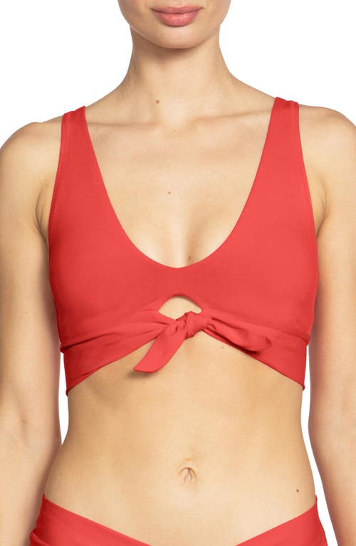 Shop Robin Piccone Ava Knot Front Bikini Top In Guava