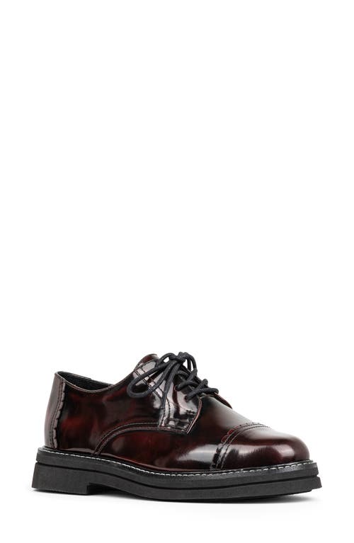 Shop Donald Pliner Leonardo Cap Toe Derby In Bordeaux