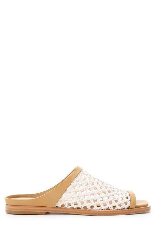 Daniella Shevel Alba Sandal In White