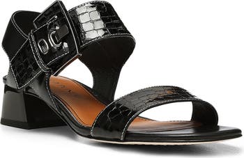 David j pliner online