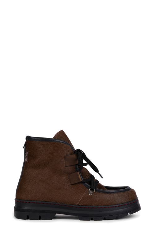 Penelope Chilvers Incredible Genuine Calf Hair Bootie In Dark Oak