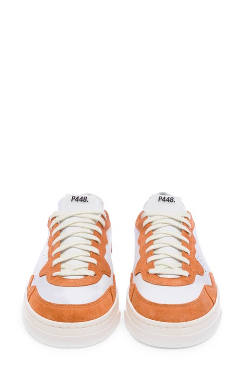 Shop P448 Bali Sneaker In Sunset-white