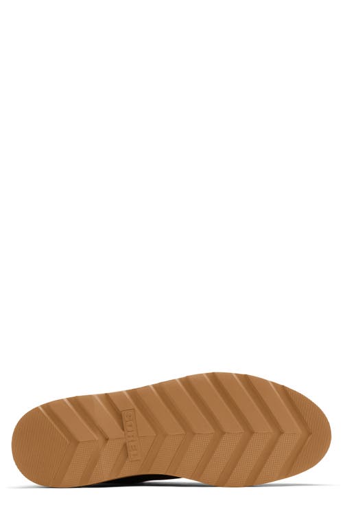 Sorel Hi-line Waterproof Lace-up Boot In Fallen/velvet Tan