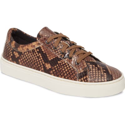 The Flexx Sneak Away Sneaker, Brown