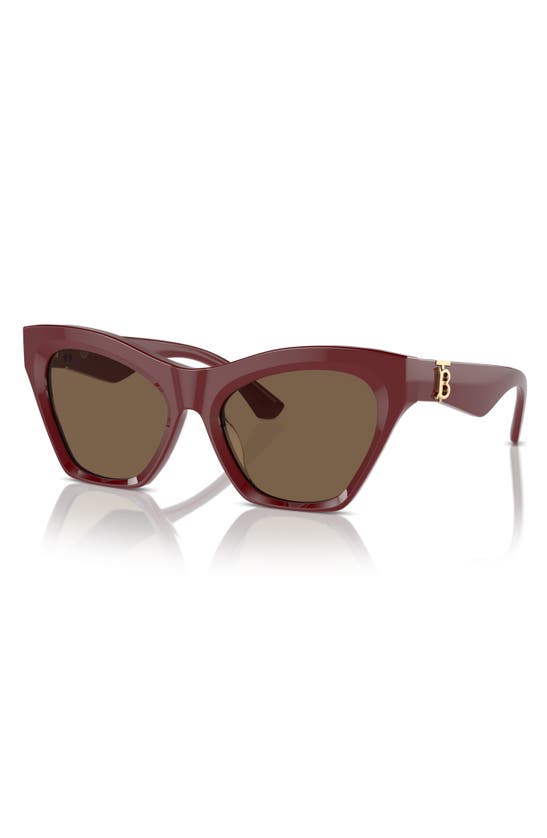Shop Burberry 55mm Cat Eye Sunglasses In Bordeaux