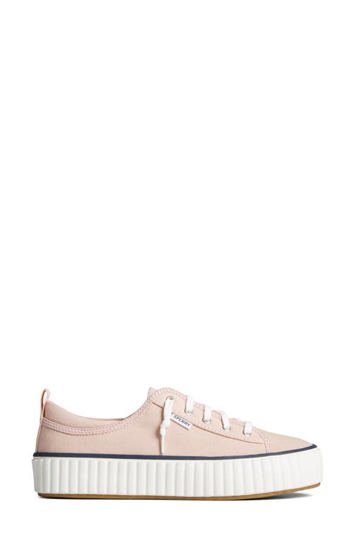 Sperry Top-sider® Pier Wave Platform Sneaker In Rose