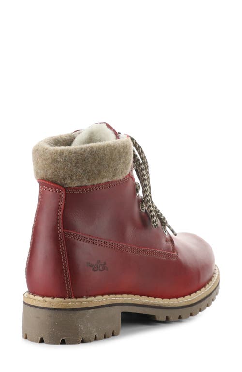 Shop Bos. & Co. Hartt Waterproof Boot In Sangria/castanho