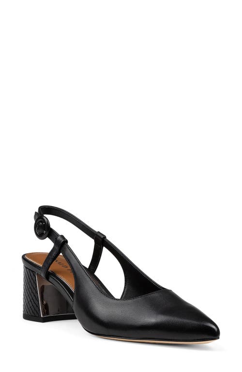 Donald Pliner Song Slingback Pointed Toe Pump at Nordstrom,