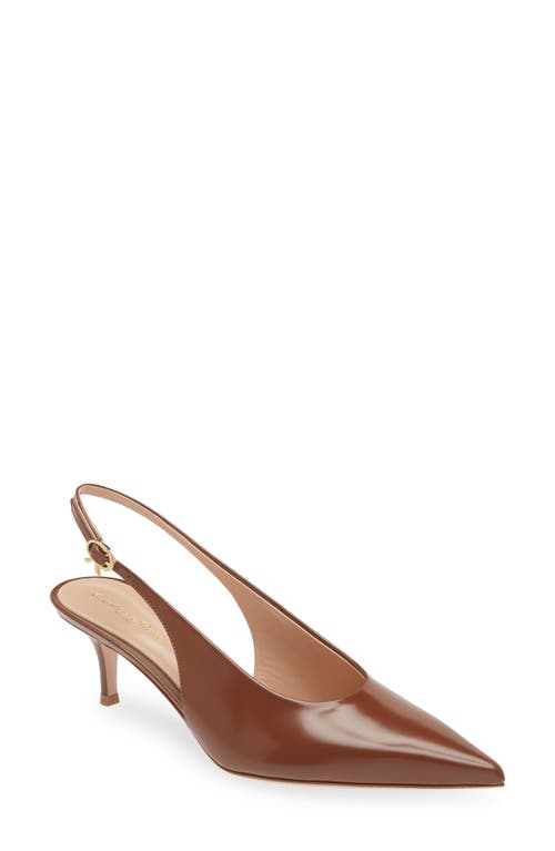 Shop Gianvito Rossi Tokio Pointed Toe Slingback Pump In Havana