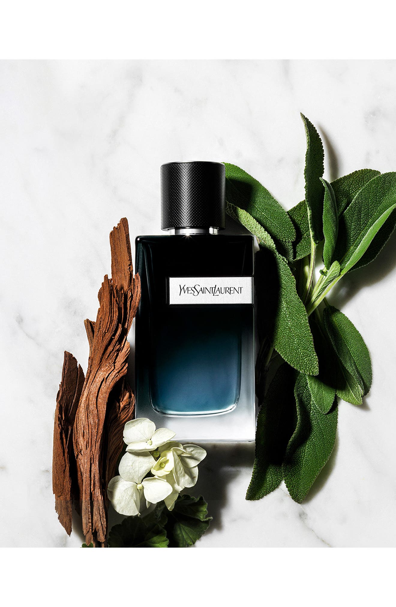 y man eau de parfum