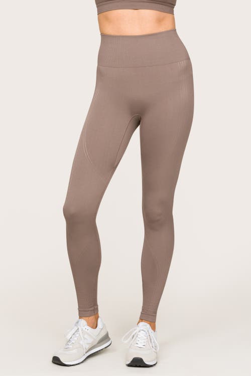 Alala Barre Seamless Tight In Coffee