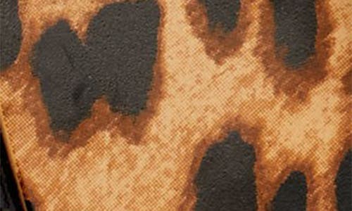 Tory Burch Roxanne Jelly Sandal In Classic Leopard