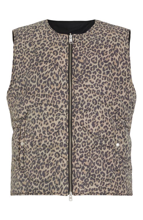 Allsaints Underground Reversible Leopard Print Vest In Leopard Black