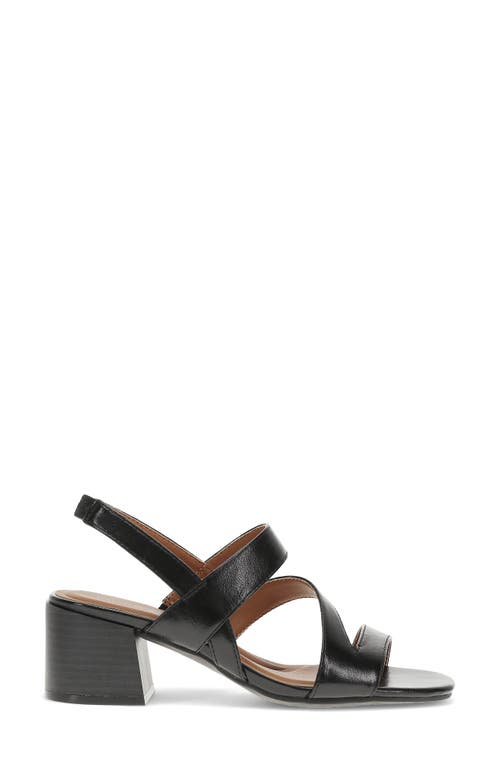 BARETRAPS BARETRAPS POSHA BLOCK HEEL SANDAL 