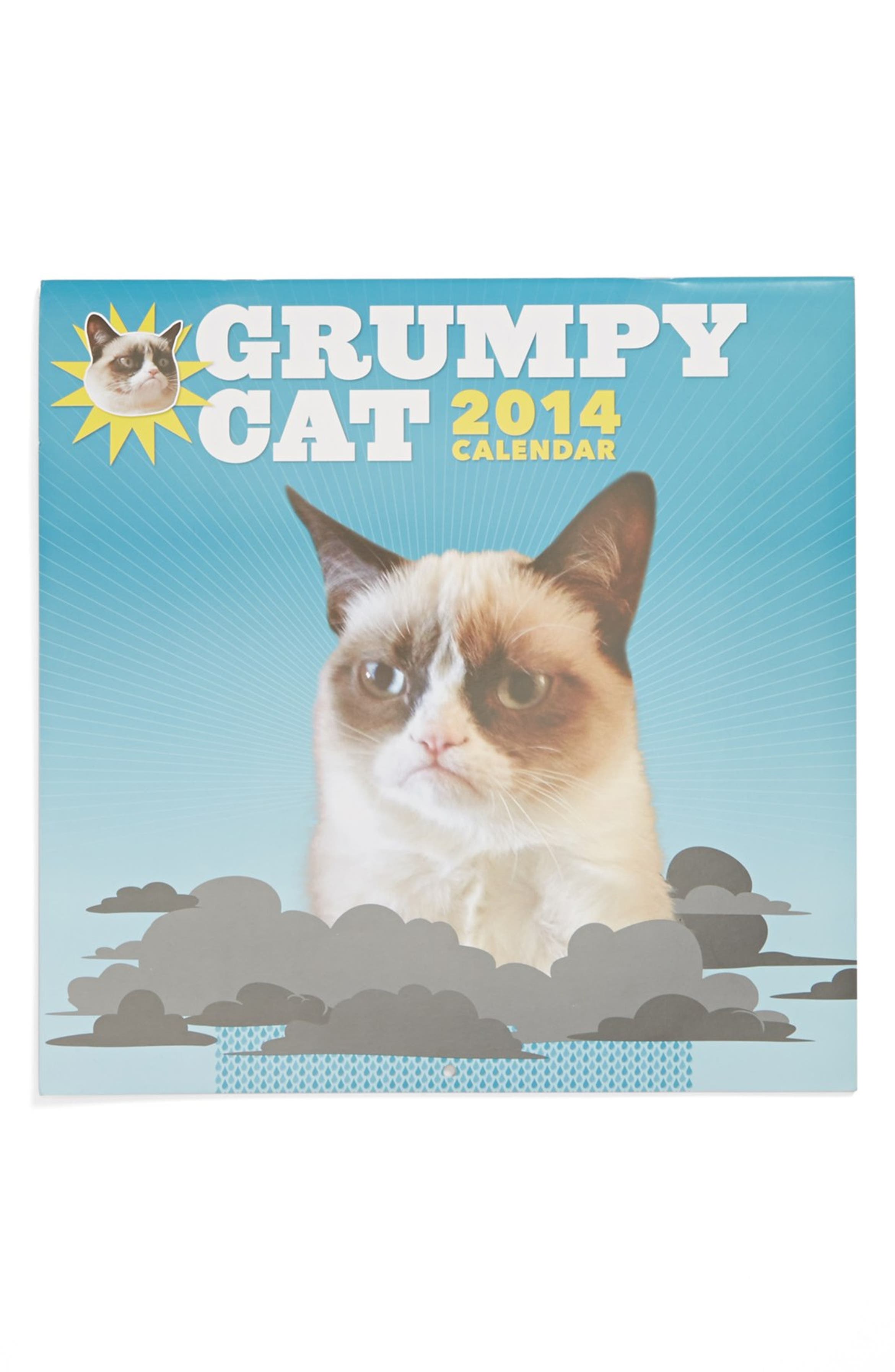 Grumpy Cat 2014 Wall Calendar Nordstrom