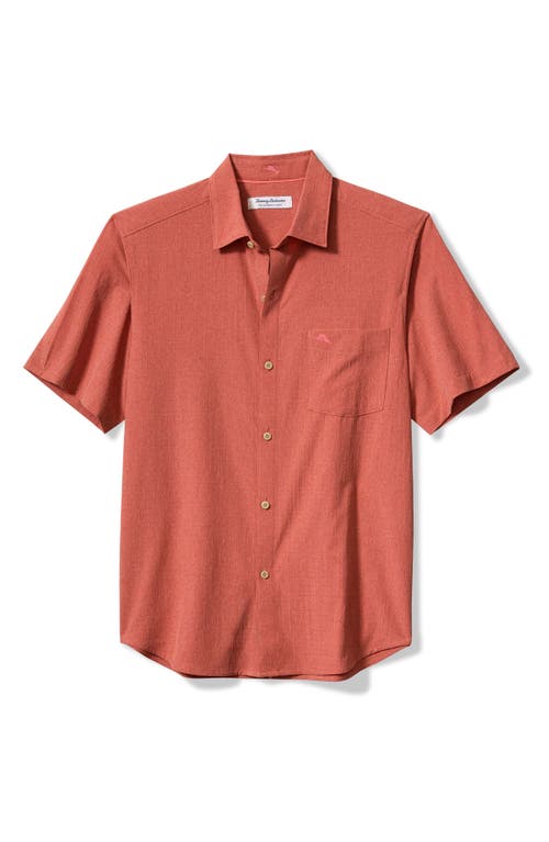 Shop Tommy Bahama Bahama Coast Sandypoint Solid Islandzone® Short Sleeve Button-up Shirt In Rose Red