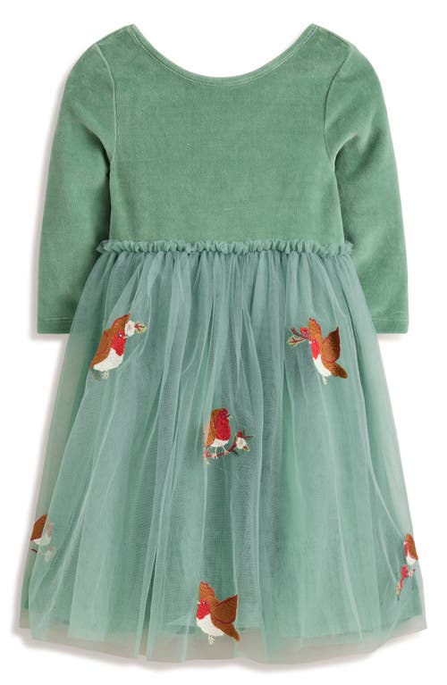 Shop Mini Boden Kids' Velvet & Tulle Appliqué Party Dress In Eucalyptus Robins